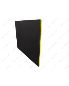 Taser Download Panel